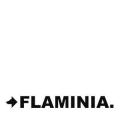 Flaminia Design Logo Nero